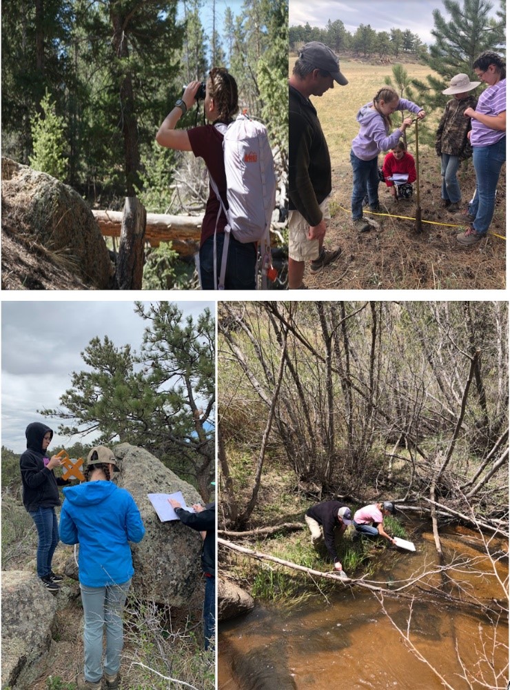 SRA students taking part in various field research activities