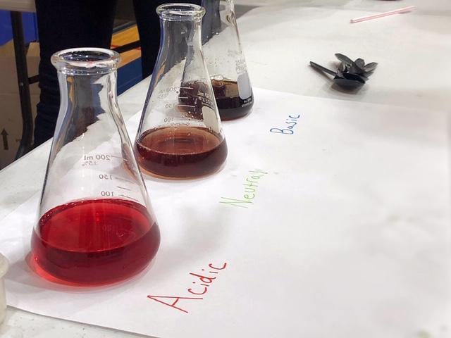 Three erlenmeyer flasks are shown with varying degrees of acidity by using a natural pH indicator