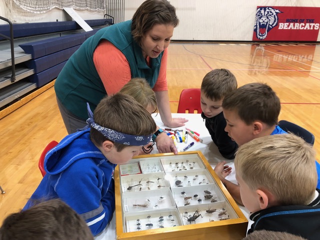 Rebecca pointing out a specific insect to students