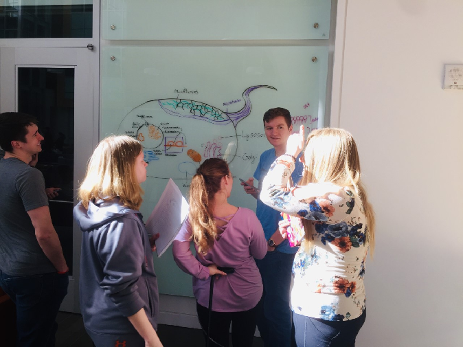 learning assistant answering student questions in front of a whiteboard