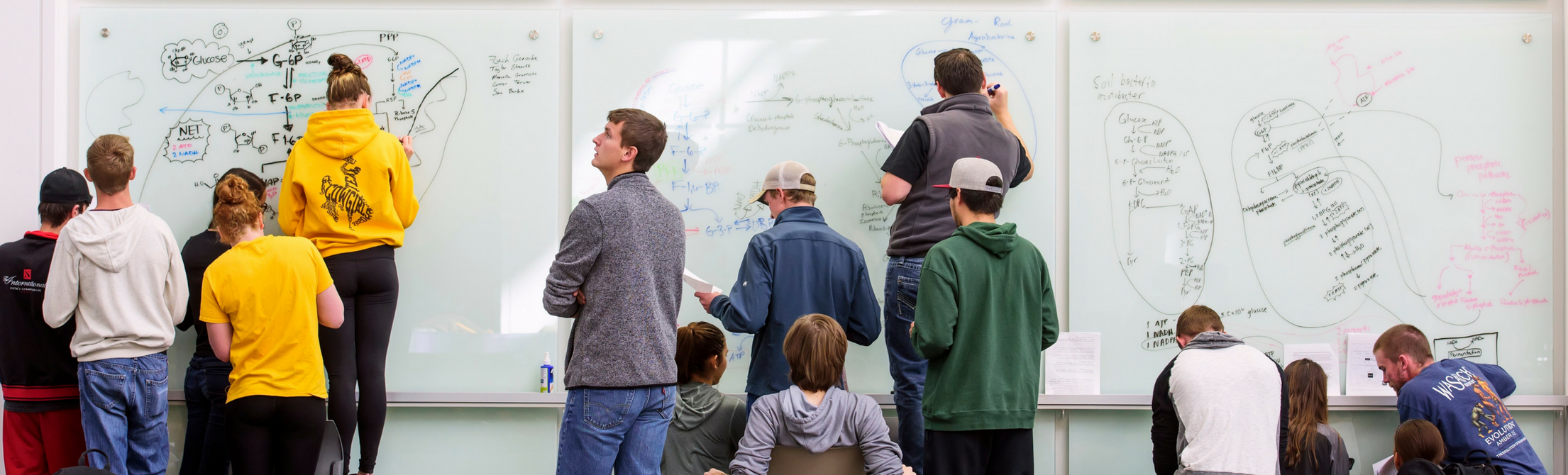 students writing equations on glass writing boards