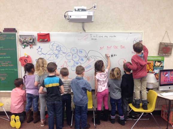 students drawing microorganisms on a whiteboard