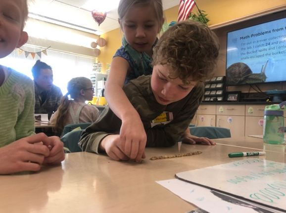 students lining up snails