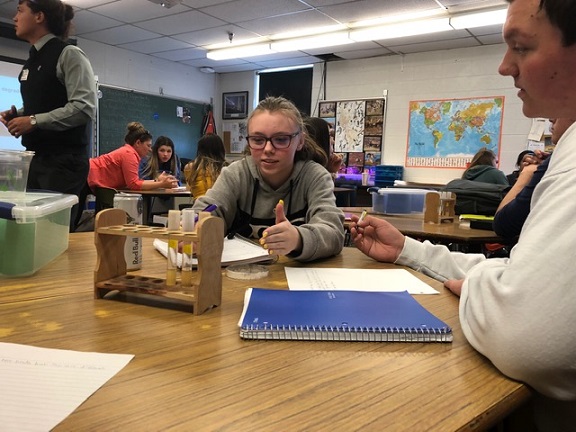 Students examining test tubes