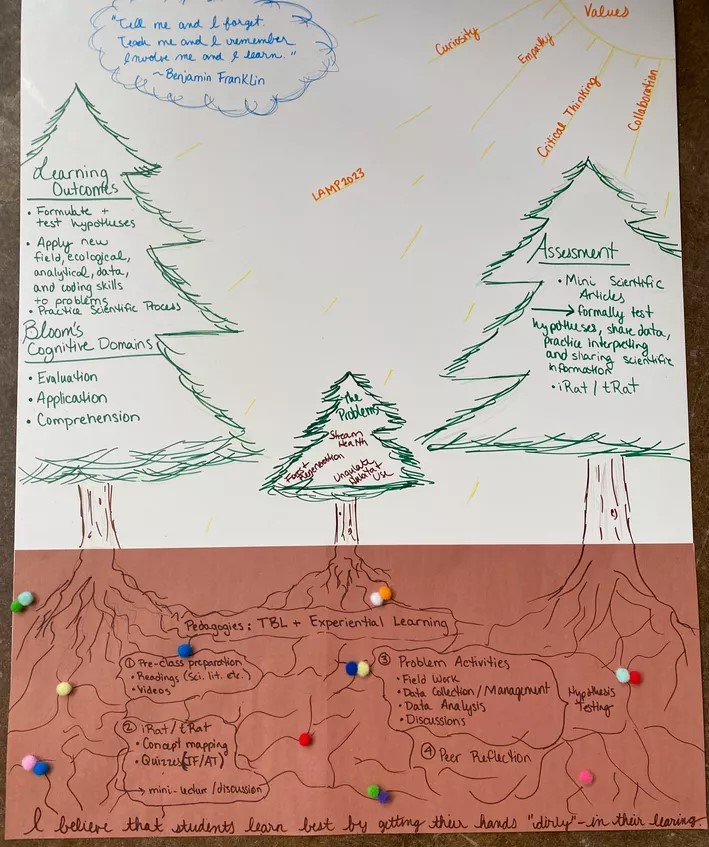 Liana Boggs Lynch’s poster showcases her values as rays of sunshine enabling the growth of her learning outcomes and assessment strategies. Her adoption of team-based learning is shown by her root network. 