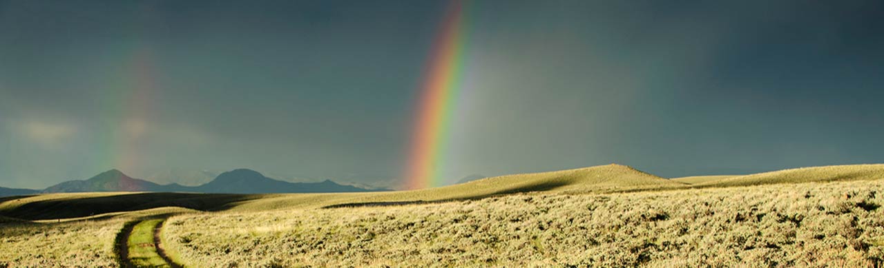 A rainbow indicates a spectrum of active learning techniques