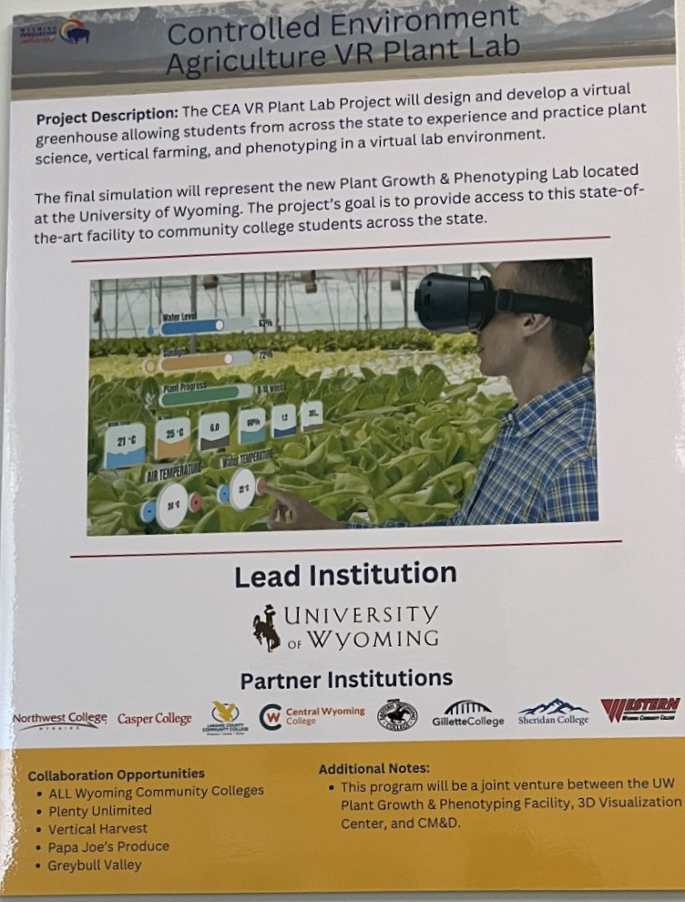 VR CEA poster