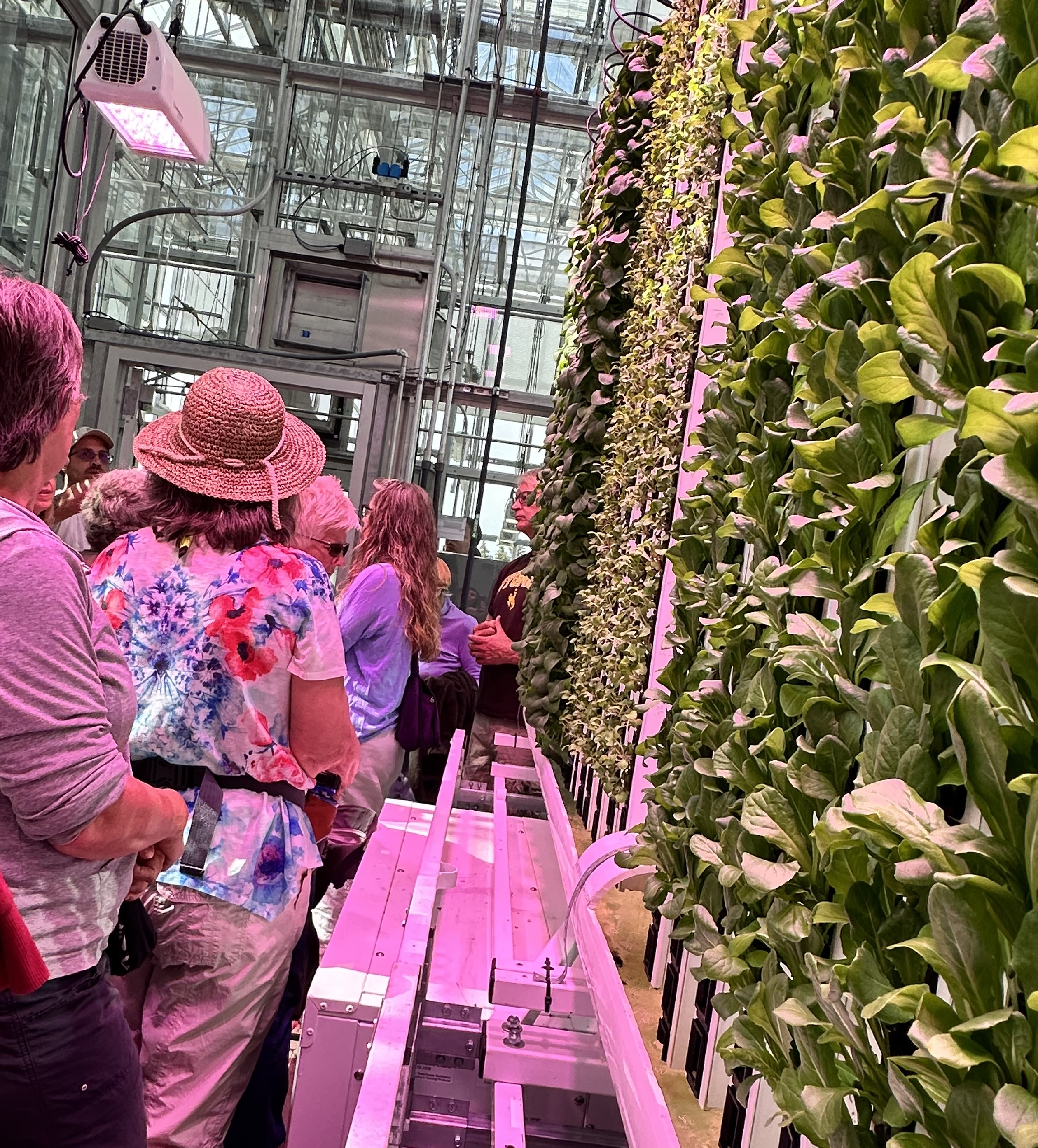tour wtih garden club