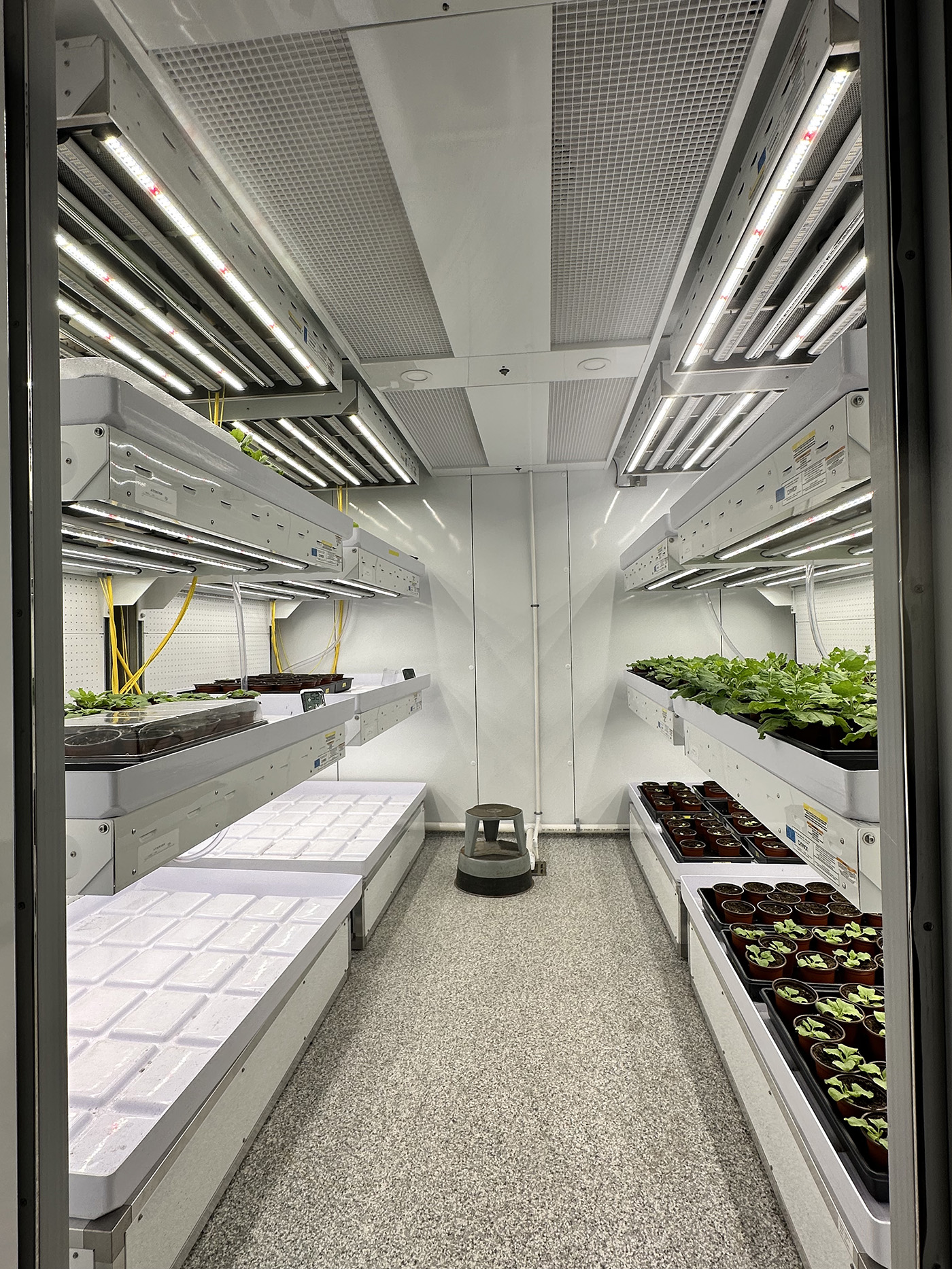 Shelves inside the walk-in chamber