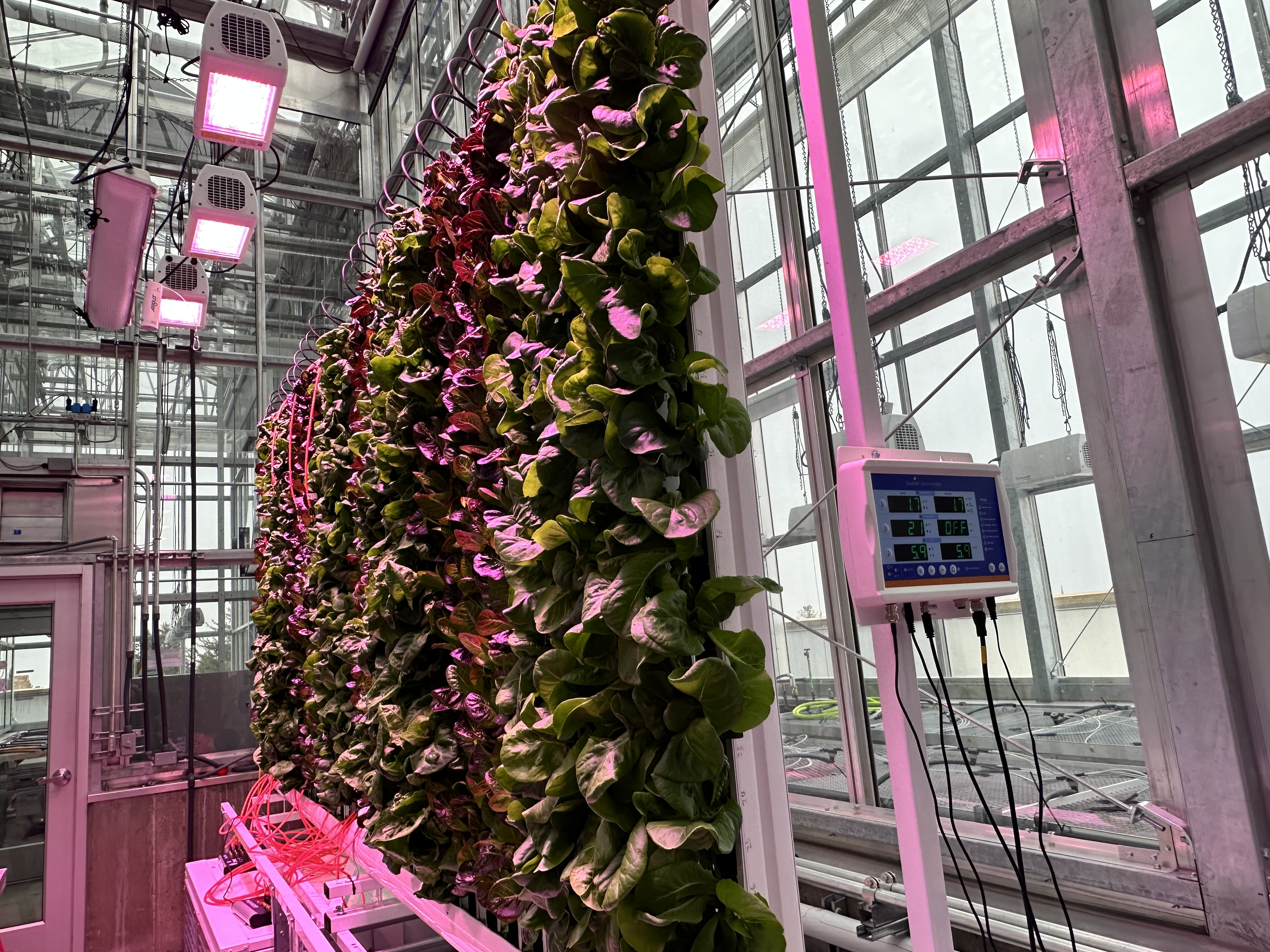 vertical with full big produce
