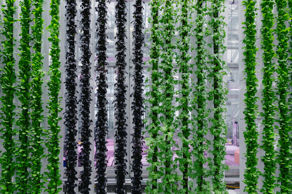 vertical towers close up