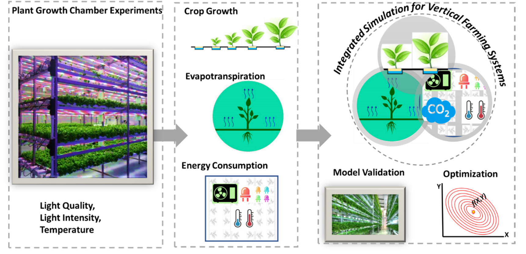 wang research picture