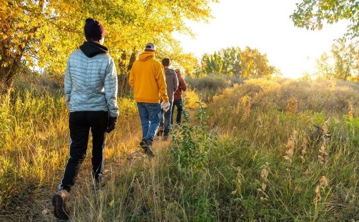 people walking on trail in grass