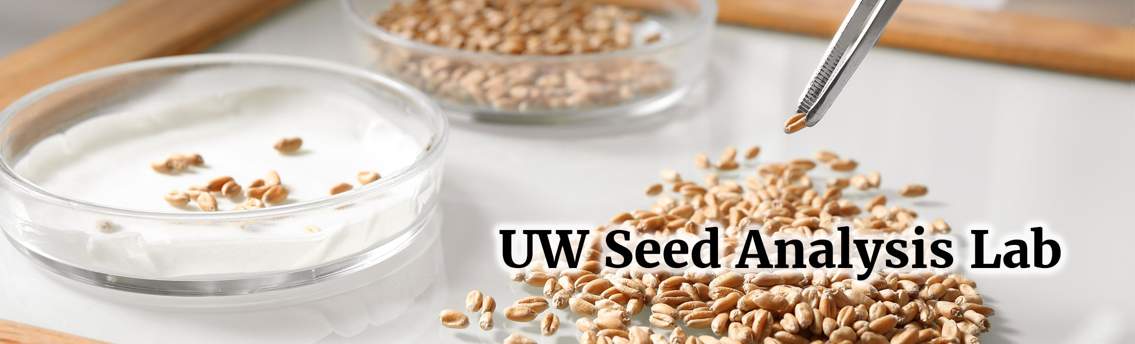 UW Seed Analysis Lab