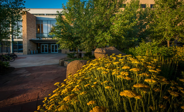 Image of Coe Library with flowers in front of the building.