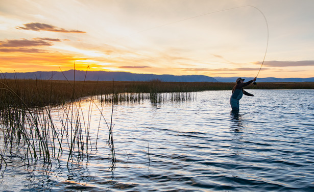 Image of a person fly-fishing with a sunset behind them.