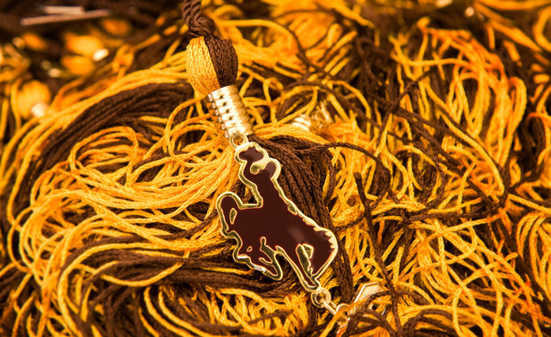 Image of tassel strings and ornament. 