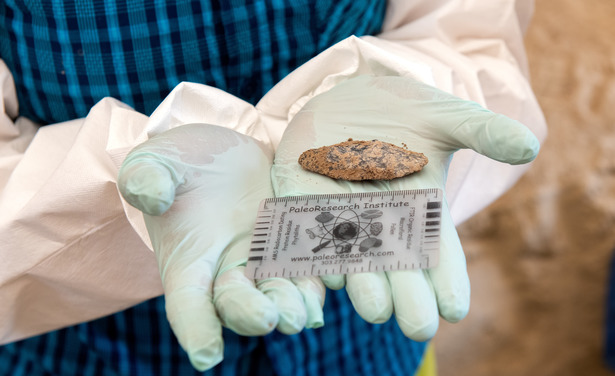Image of archaelogical find in someone's hand. 