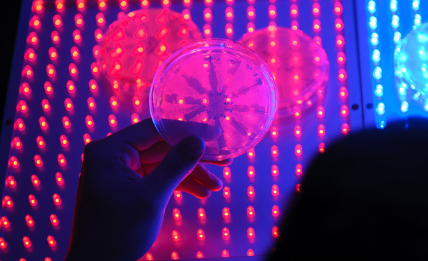 Image of scientific test disc behind various lights.