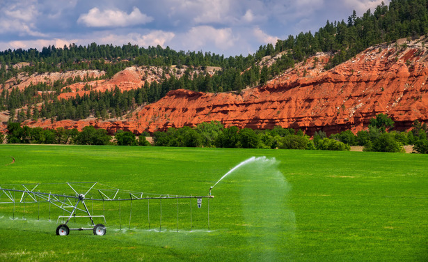 Image of sprinkler system in an open field.