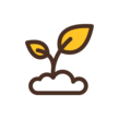 Gold, brown, and white of sprouting plant. 