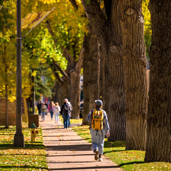 Students walking under the trees along Ivinson Street during fall. 