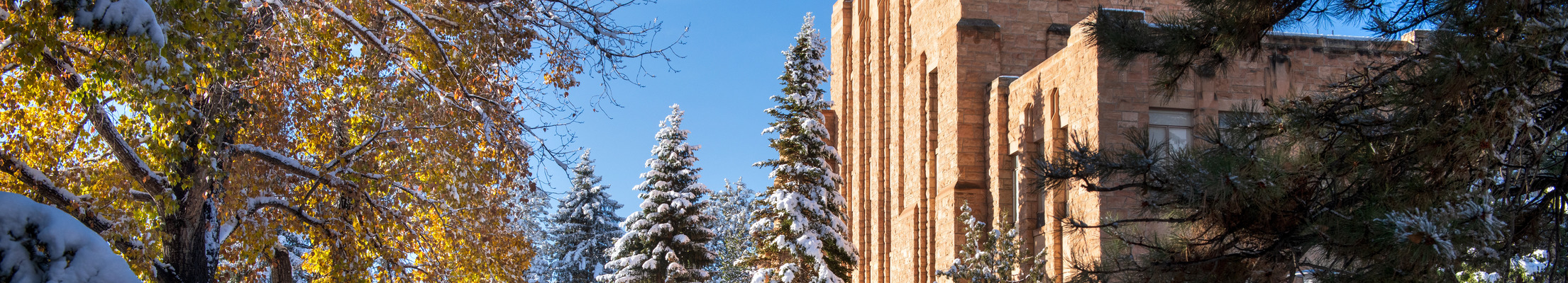 Scenic photo of campus after recent snow fall.