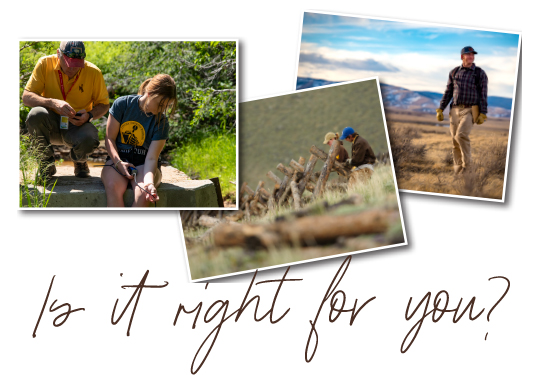 collage of students, exploring and studying outside