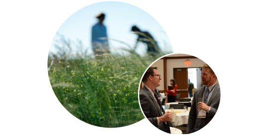 students standing in a field, and students talking at a networking event