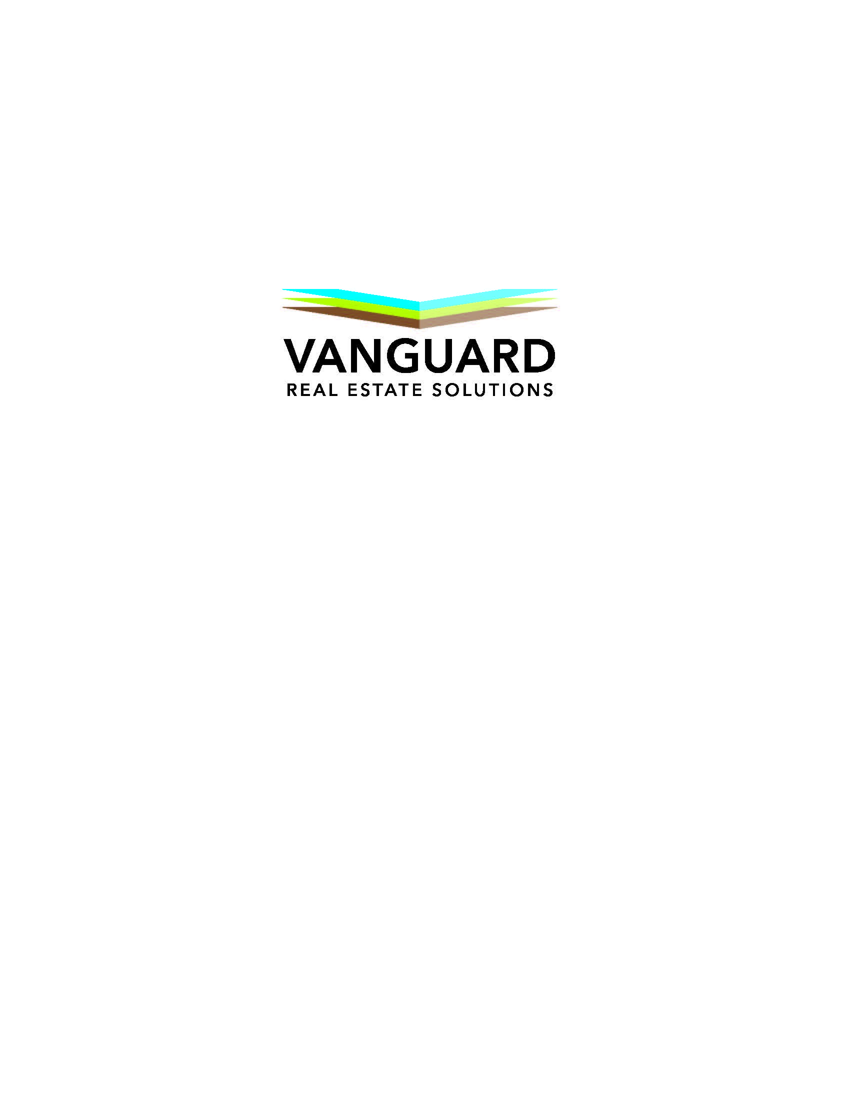 vanguard real estate solutions logo
