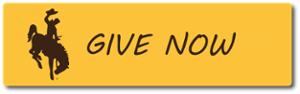Give now Button