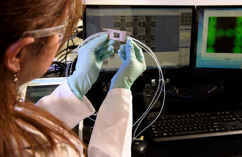 Student holding a piece of lab equipment