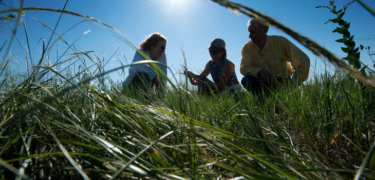 three people in kneel in the grass looking at a sample