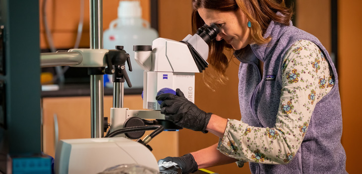 a student looking a microscope