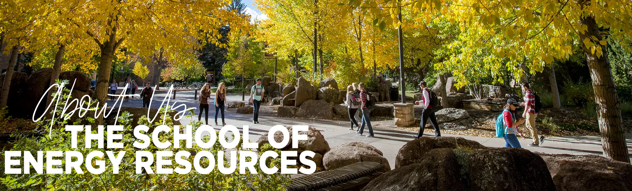 students walking under fall leaves