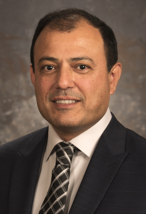Vamegh Rasouli