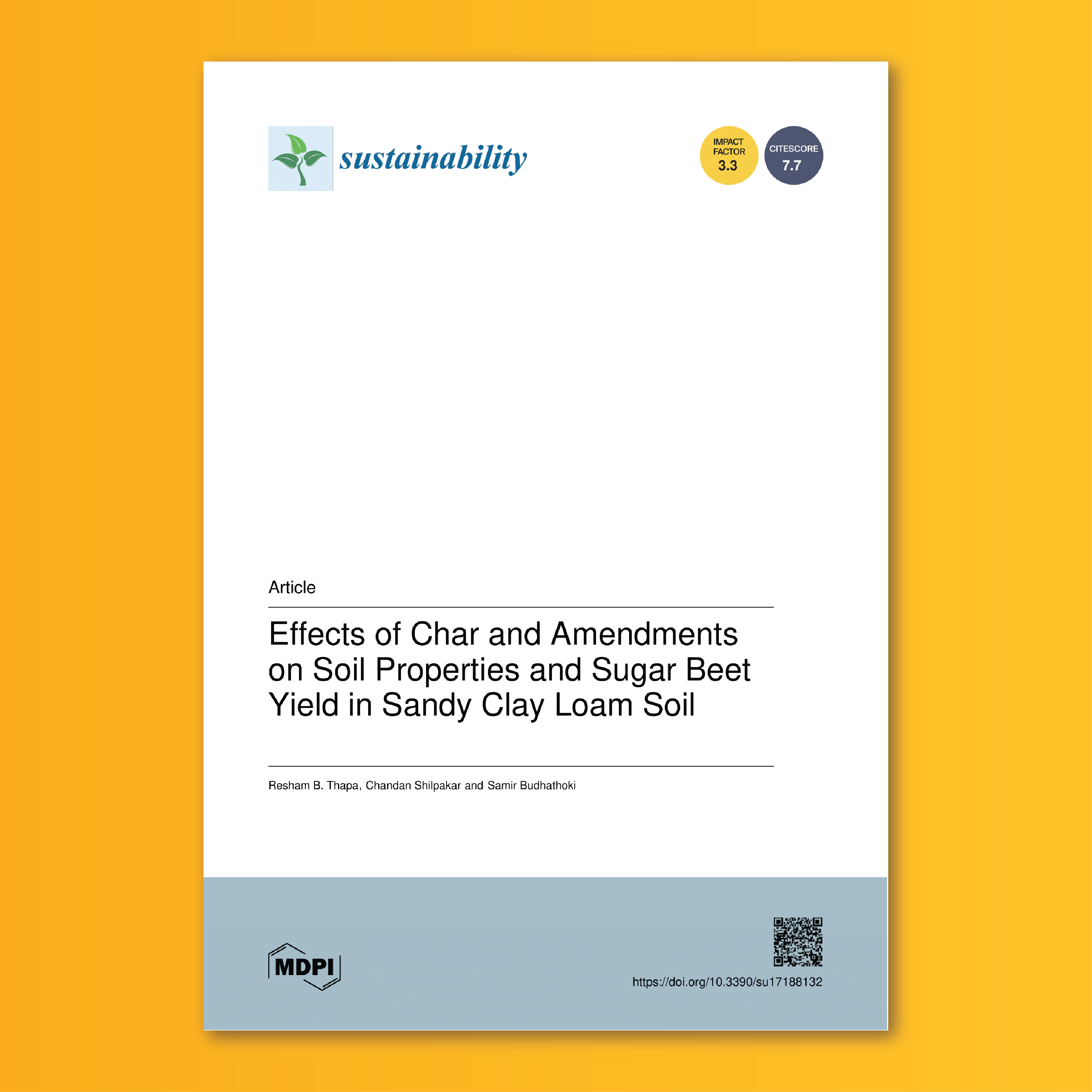 Cover of Sustainability Paper cover