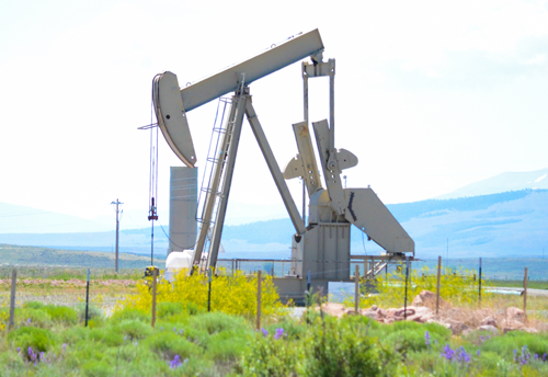 oil and gas pumpjack in a scenic field with wildflowers