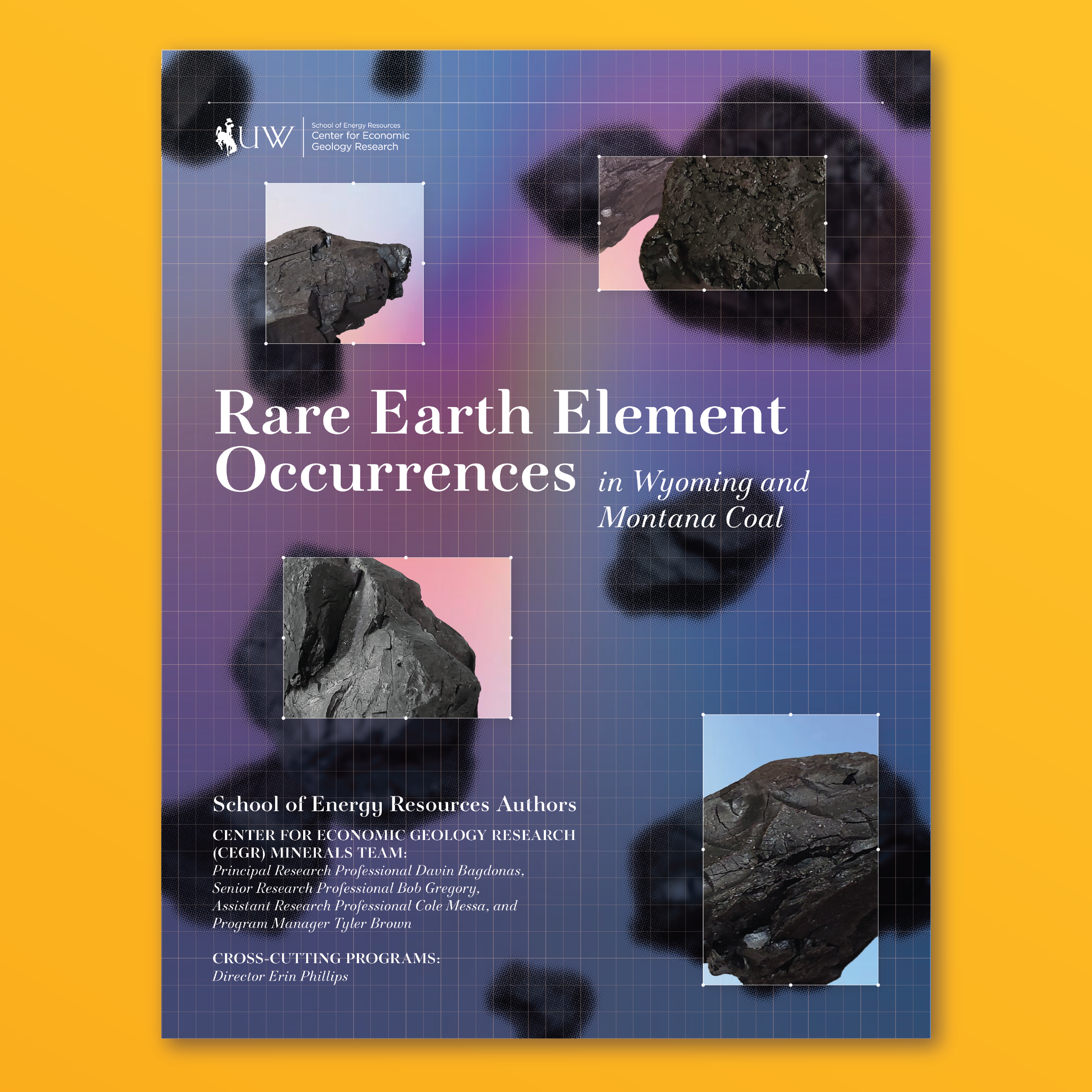 Cover of Rare Earth Element Occurences in Wyoming