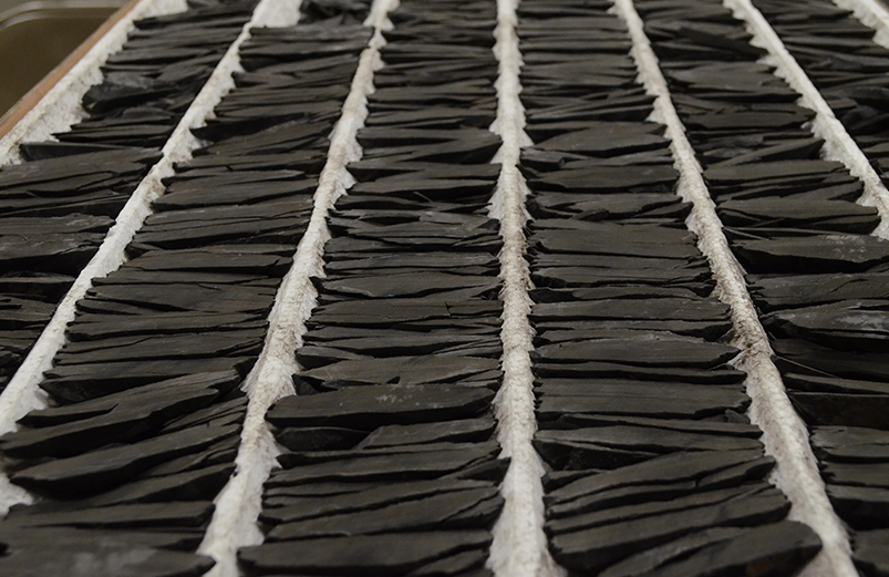 Shale samples in a box lined up