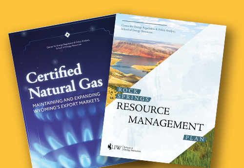 front covers of some cerpa publications
