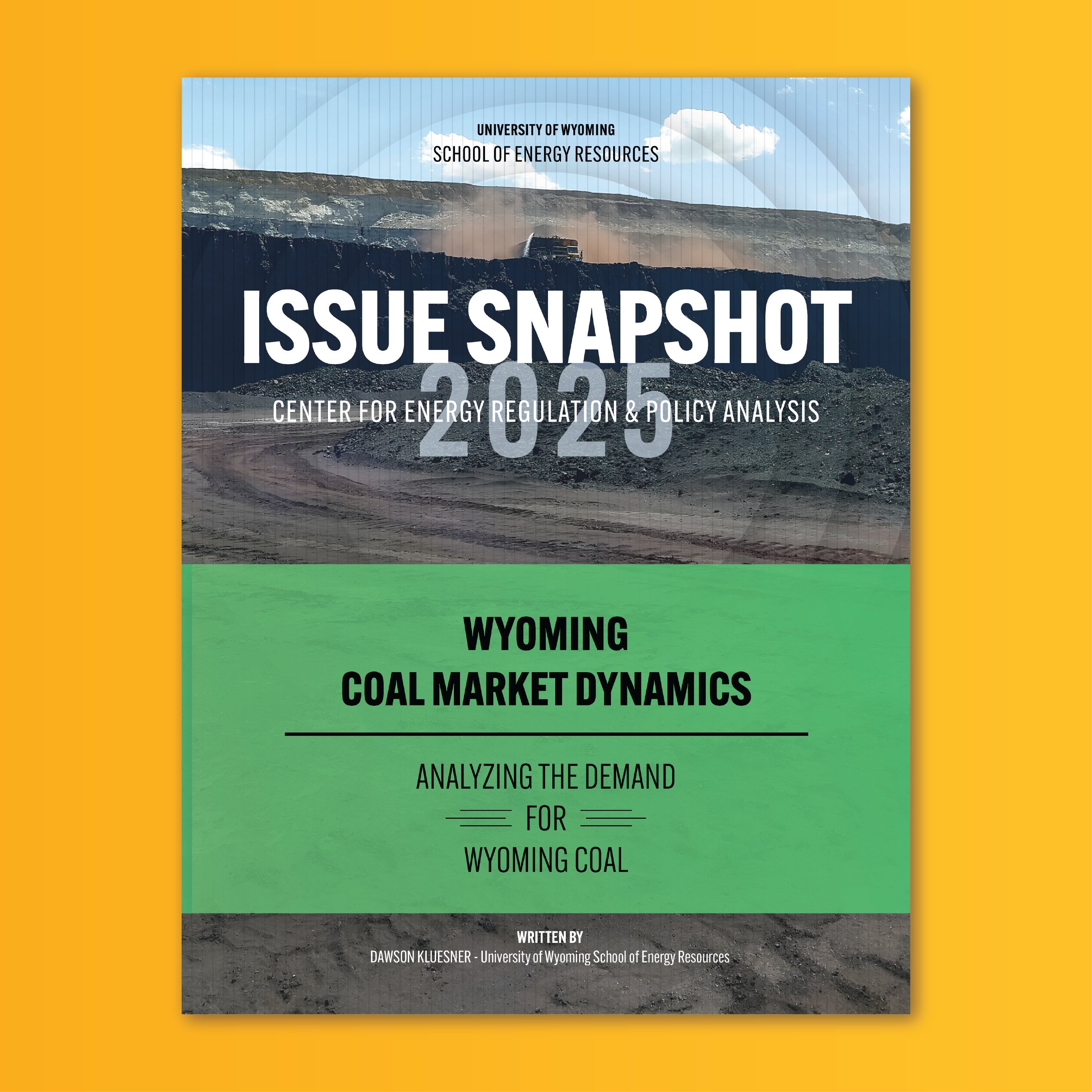 Cover of Issue Snapshot on Coal Markets