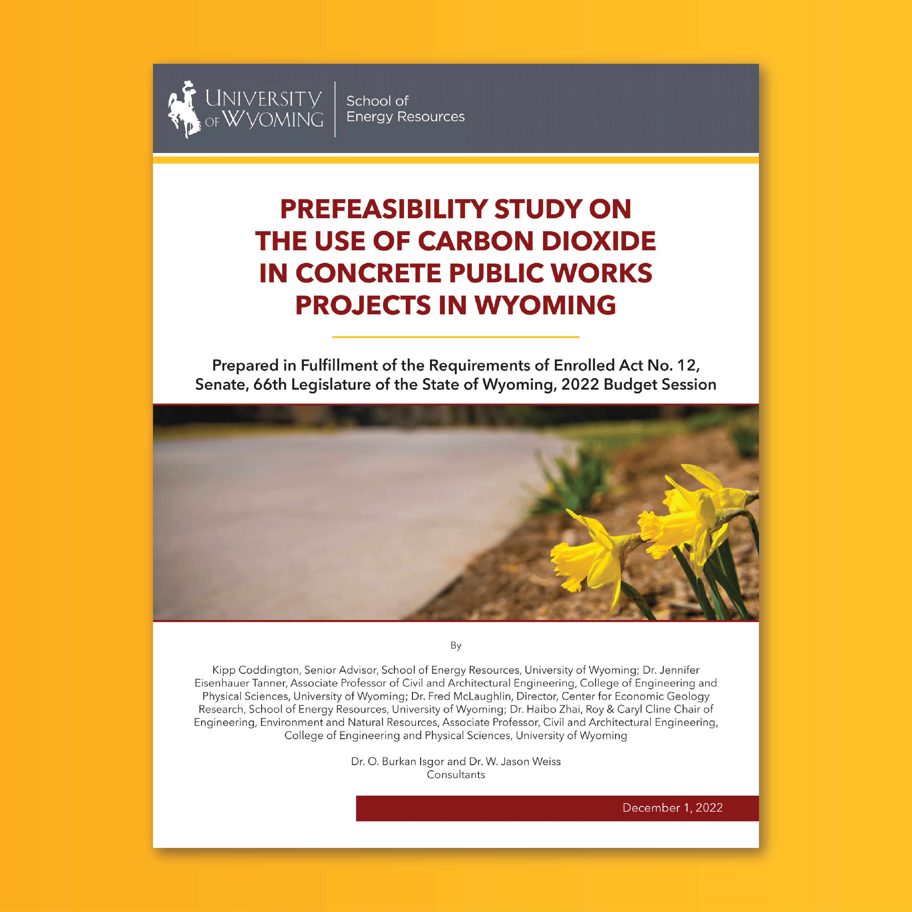 Cover of Prefeasibility Study on the Use of Carbon Dioxide in Concrete Public Works Projects in Wyoming Paper