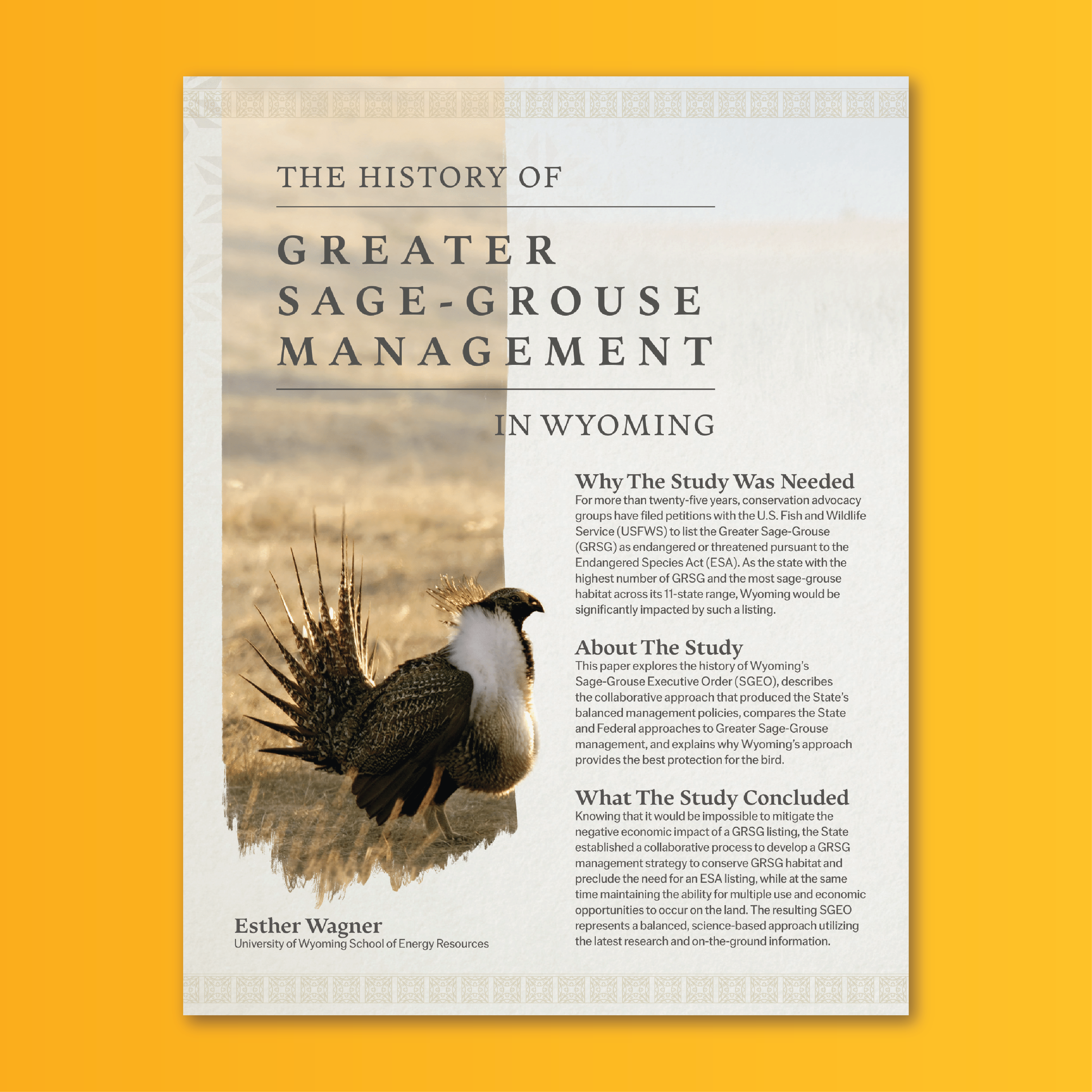 Cover of The History of Greater Sage-Grouse Management in Wyoming