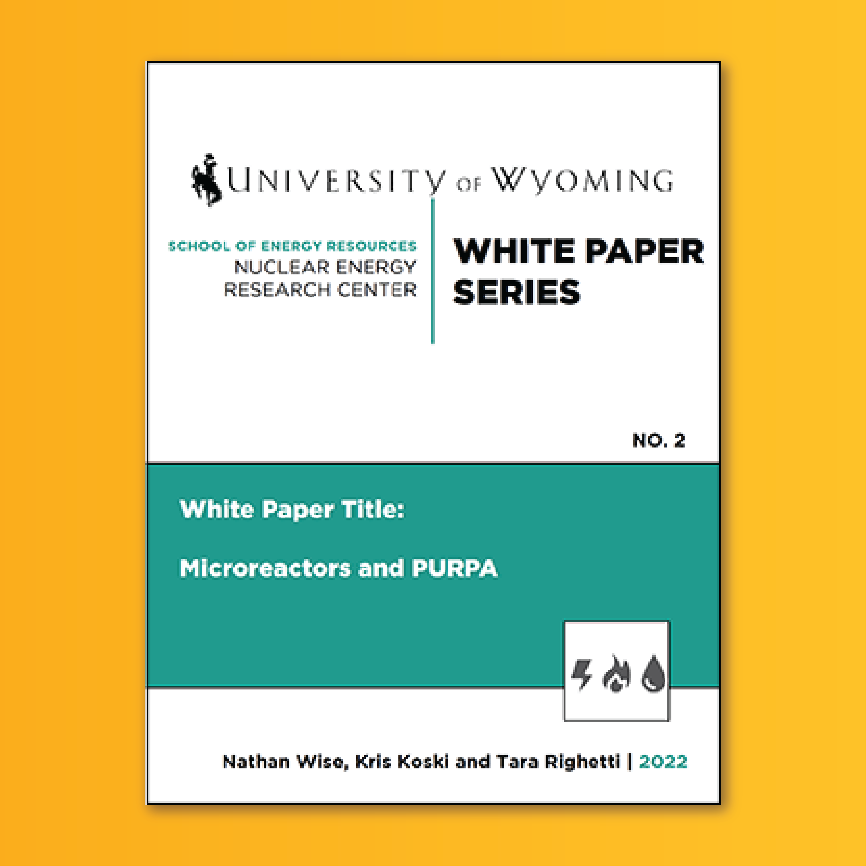 Cover of Paper