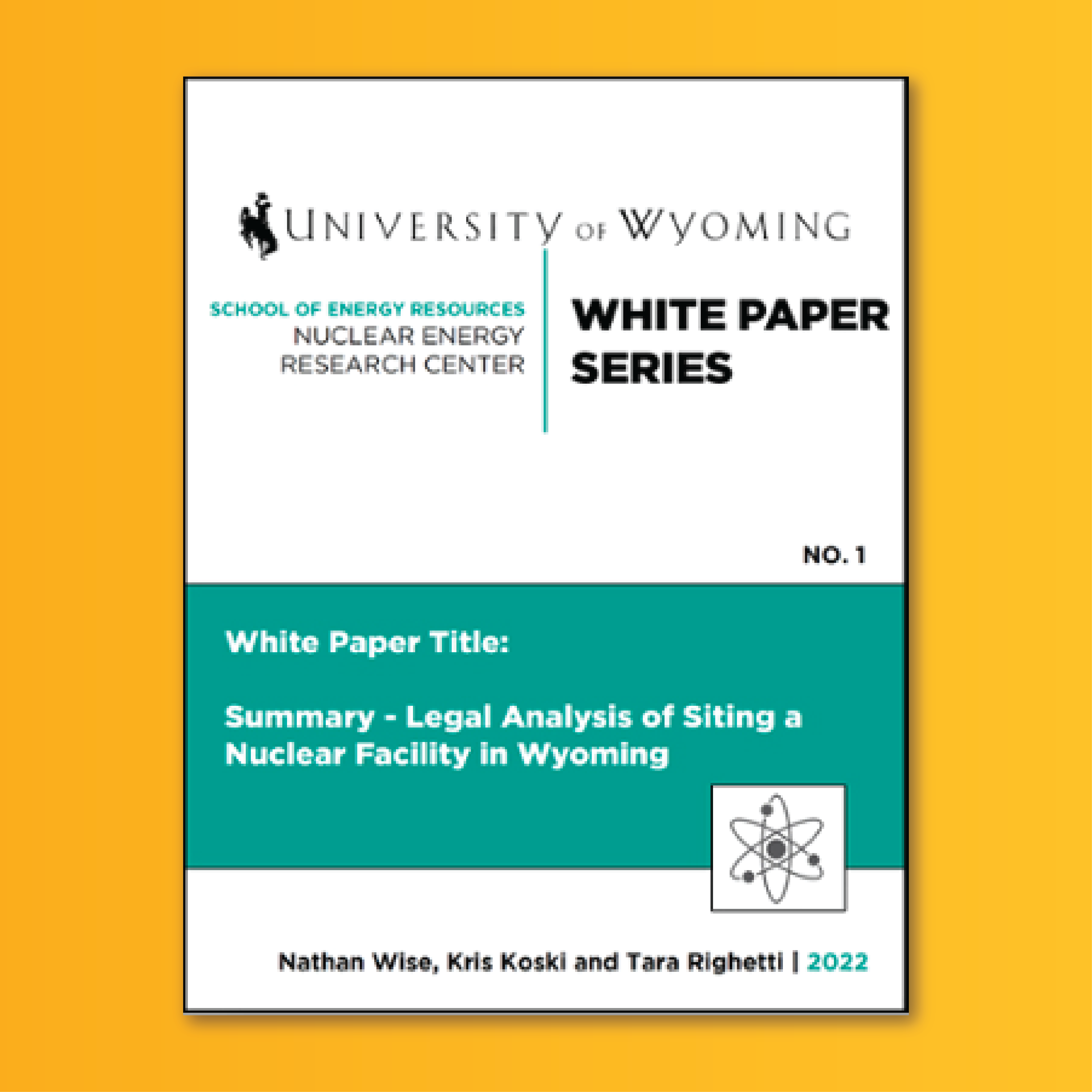 Cover of Paper