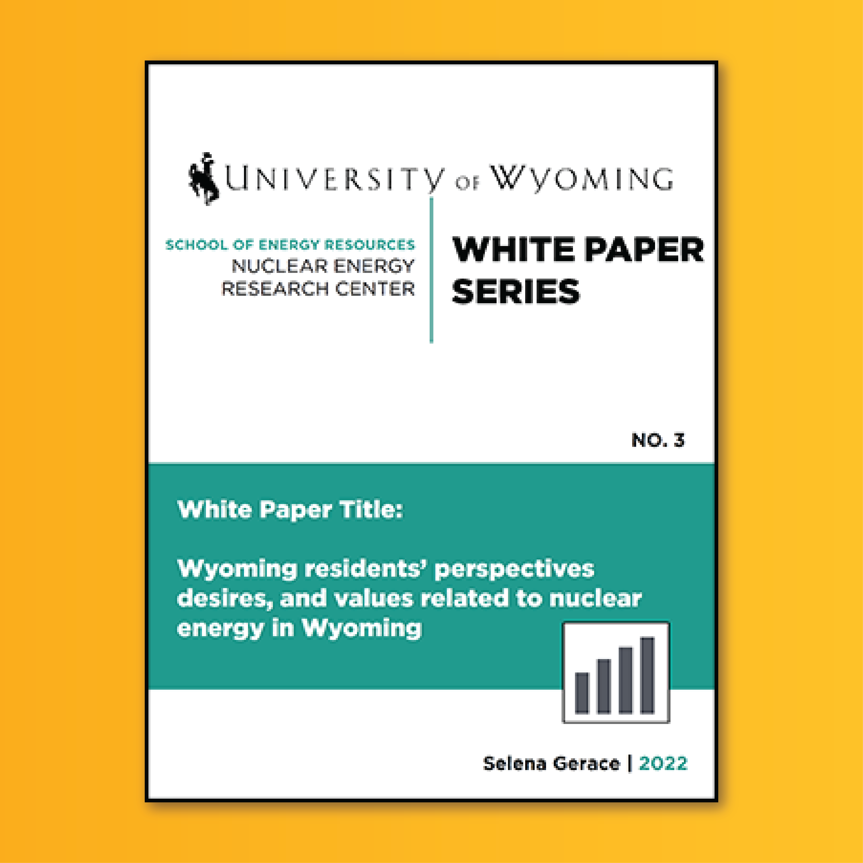 Cover of Paper