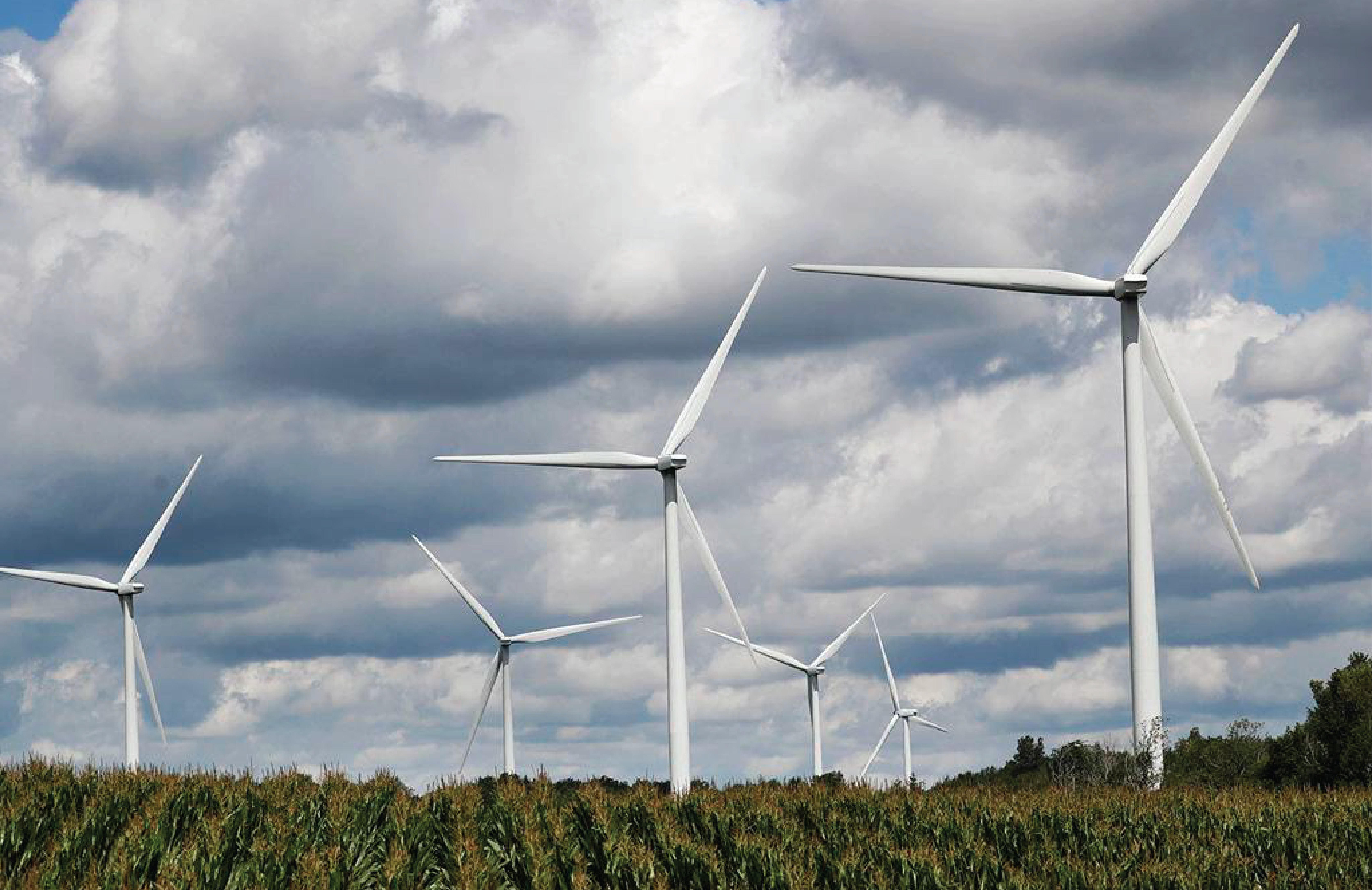 Field of wind turbines