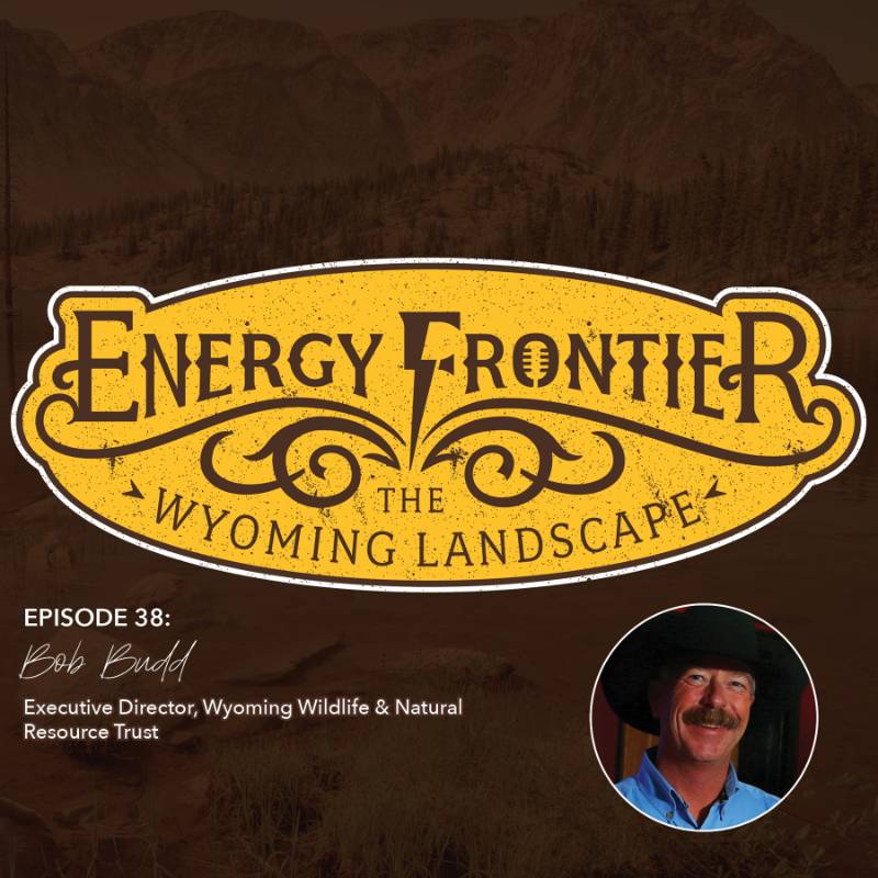 Episode 38: Bob Budd