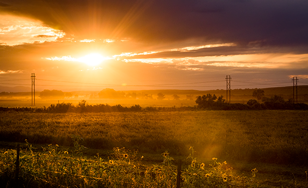 sunset